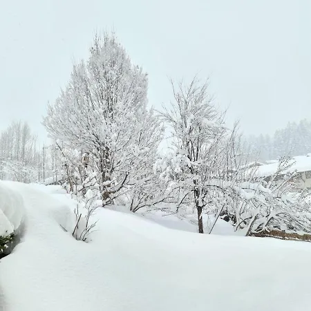 Apartmán Buchensteinblick