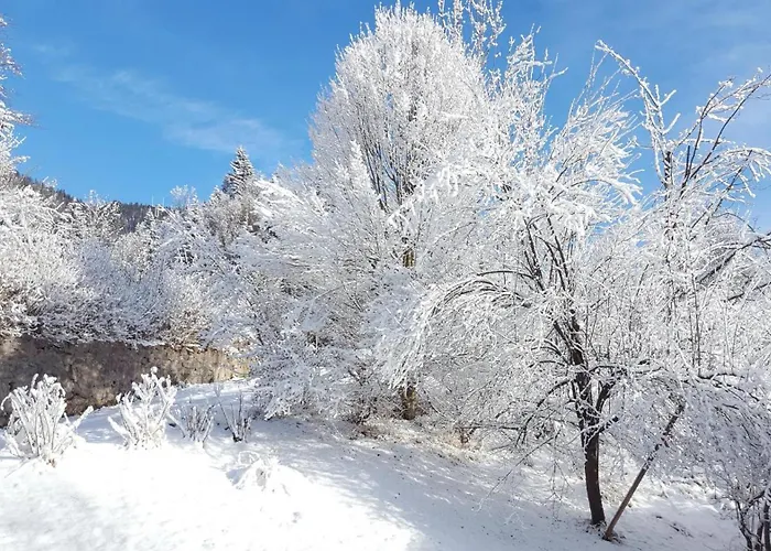 Lejlighed Buchensteinblick