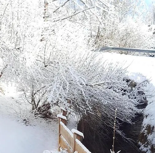 Buchensteinblick Apartment *