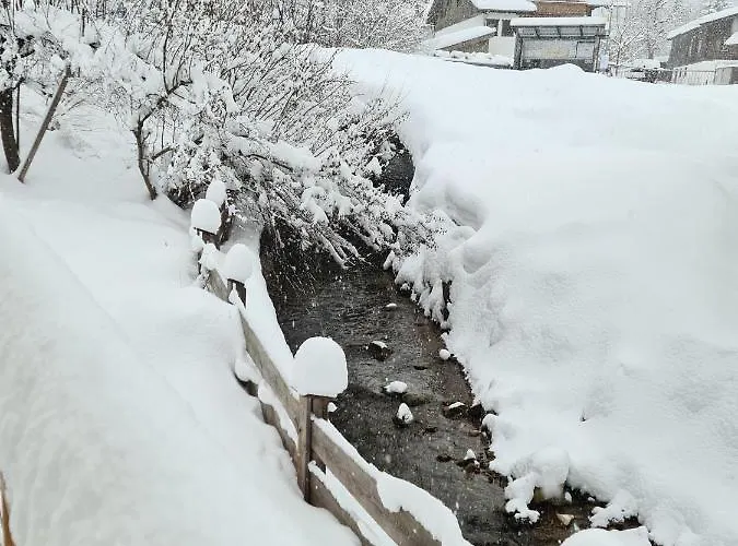 Buchensteinblick Apartment