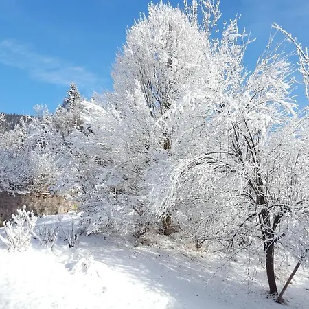 Buchensteinblick 圣雅克布茵豪斯