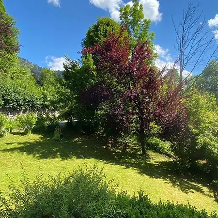 Buchensteinblick 公寓