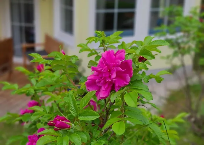 Buchensteinblick Apartamento